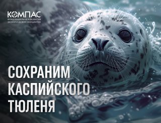 Название_67196748-f87d-4c6d-9fb9-4f030ae46456.jpg