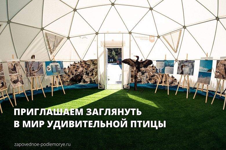 Название_cd99fc23-1b37-4084-a3b8-8bd540ced53a (2).jpg