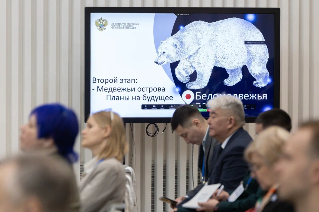 Название_d02561c4-93bc-4277-8ee5-491b48257366.jpg