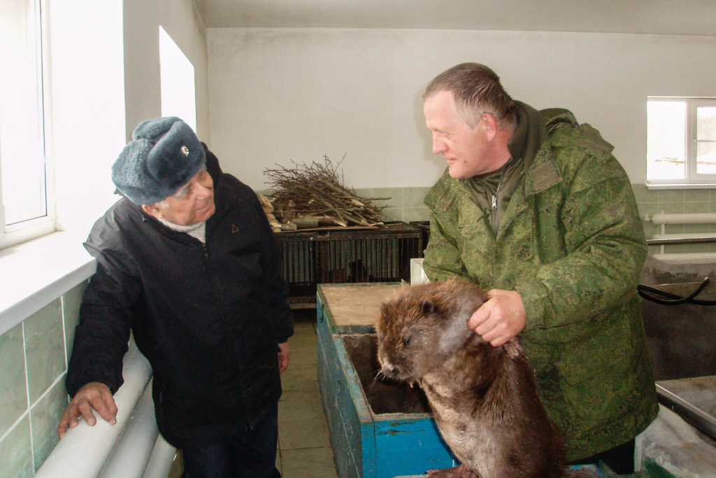 Название_9ae90c79-c17b-46c8-b5a3-a21fa61482b2.jpg