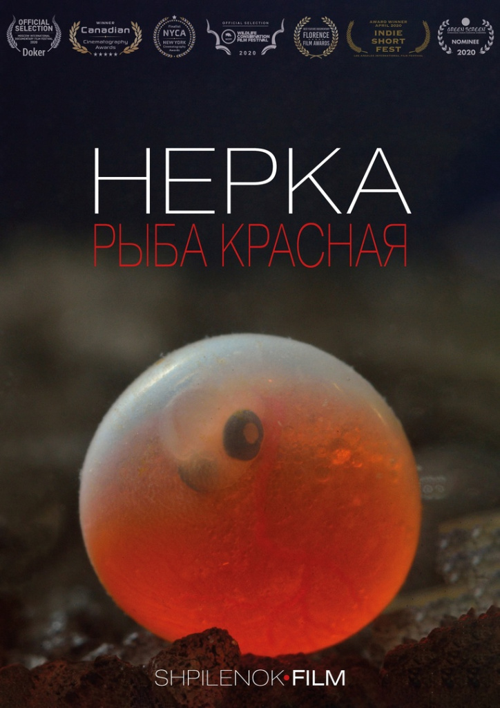 Название_3aca1202-ee8f-4d57-8225-89ba9a18a781.jpg