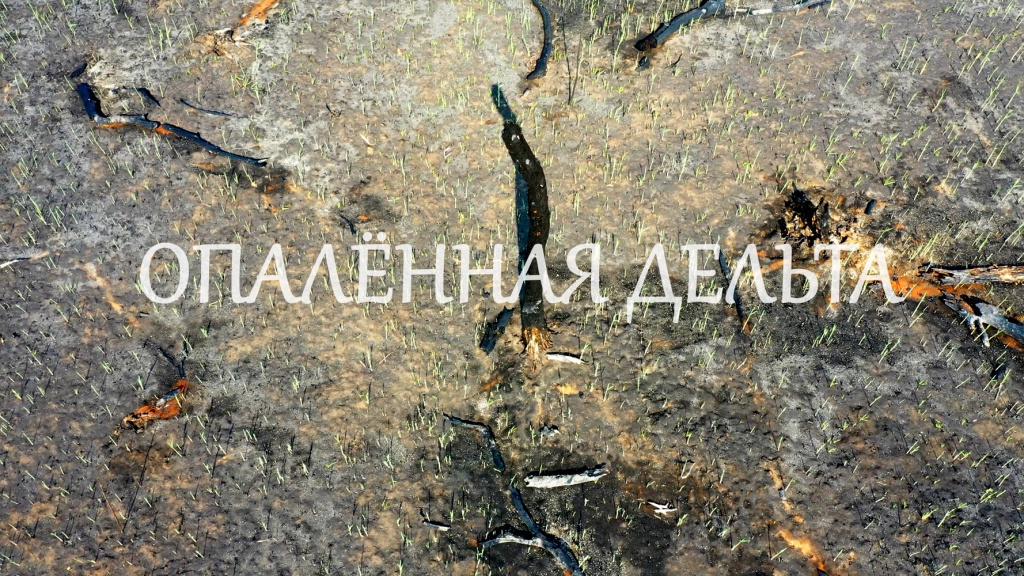 Название_d2734f8f-80b0-441d-8d55-e5999cce496c.jpg