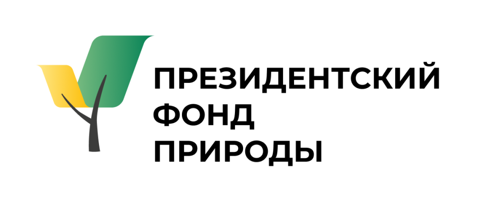 pfp_colour_logo.png