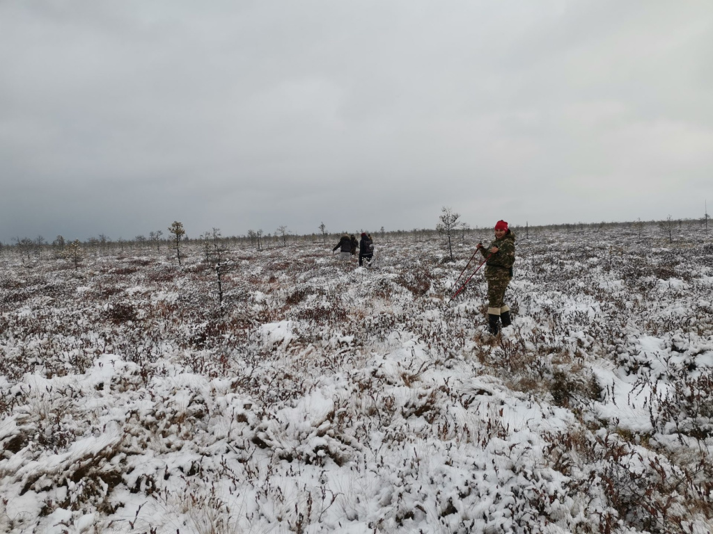 Название_bf42cc96-bee0-4345-ac67-8a66742837aa.jpg