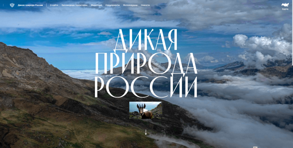 Название_4c62c9b0-741f-4c78-875e-10b54404a0c2.jpg