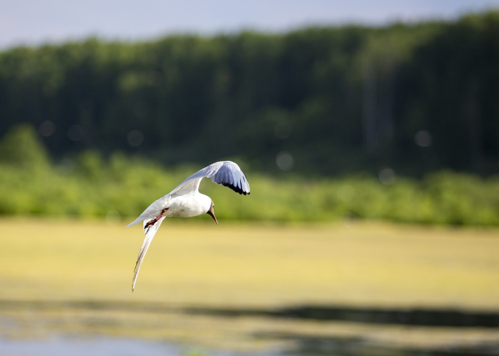 Название_3fbeb5ce-d572-497d-a0ef-a55e42cb0b3f.jpg