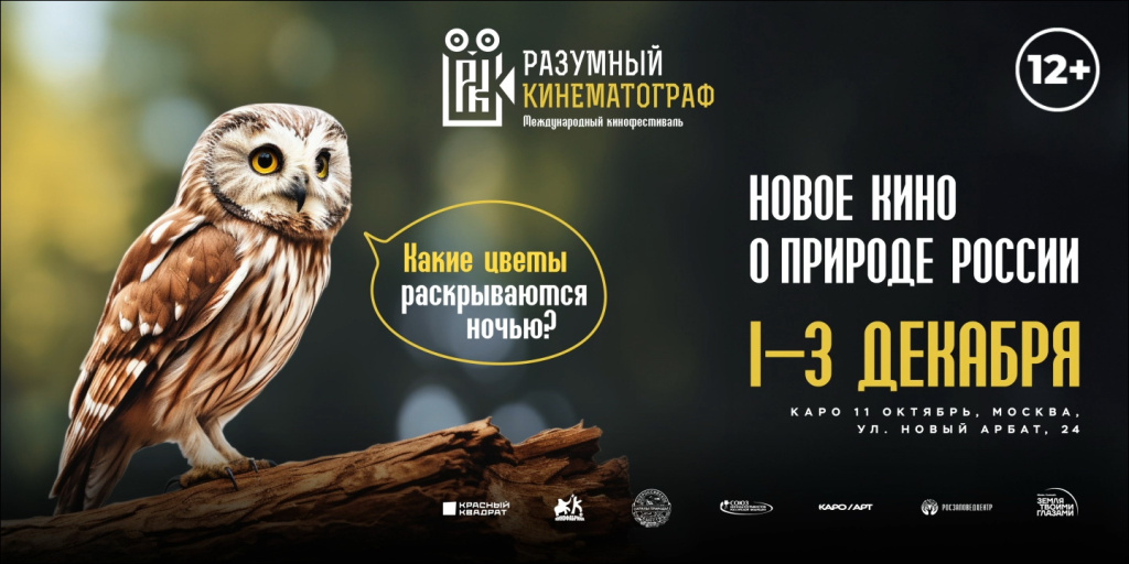 Название_dafb6441-64ee-4cf2-a5c1-bce78e3afbba.jpg