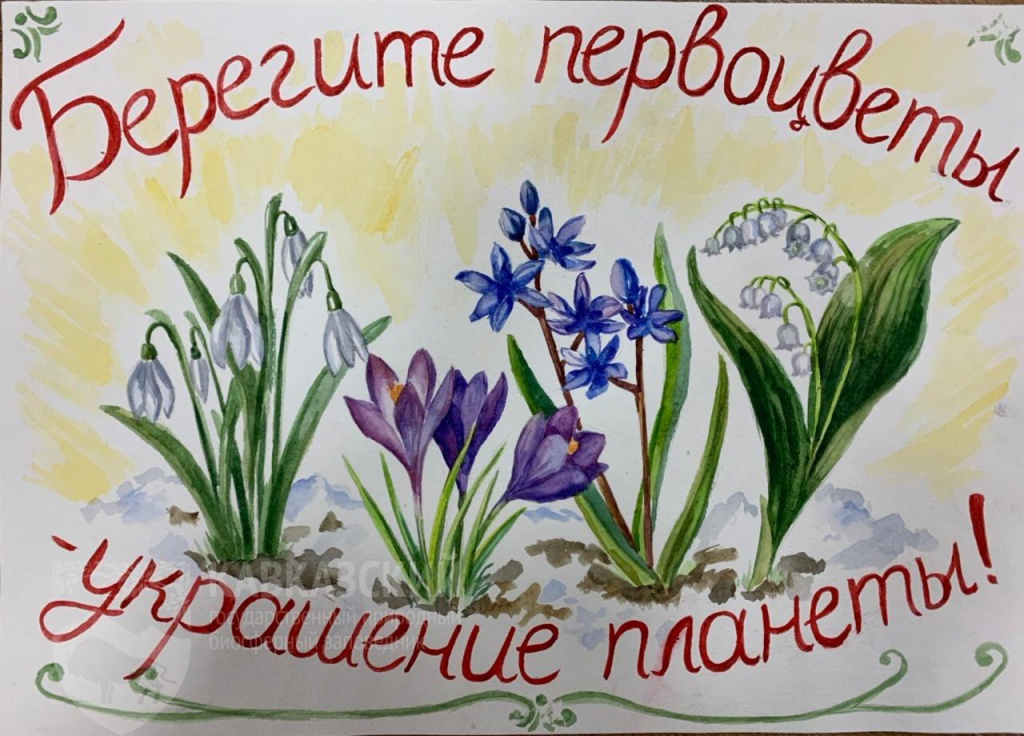 Название_fc3b7b26-8f60-49f4-add8-7e6273d692a6.jpg