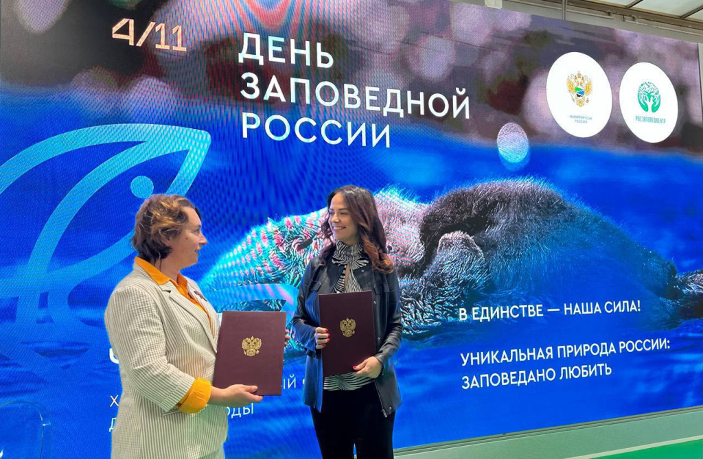 Название_66aebaee-8026-4504-b25f-846e7f17c45a.jpg
